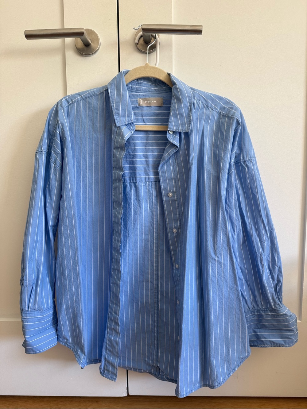 Everlane Blue Pinstripe Button-Down Shirt